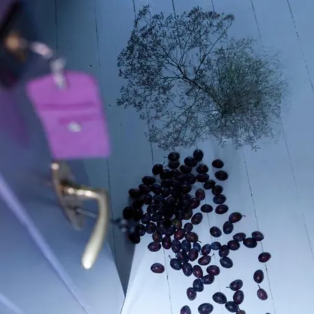 Republika Sloneczna 3*