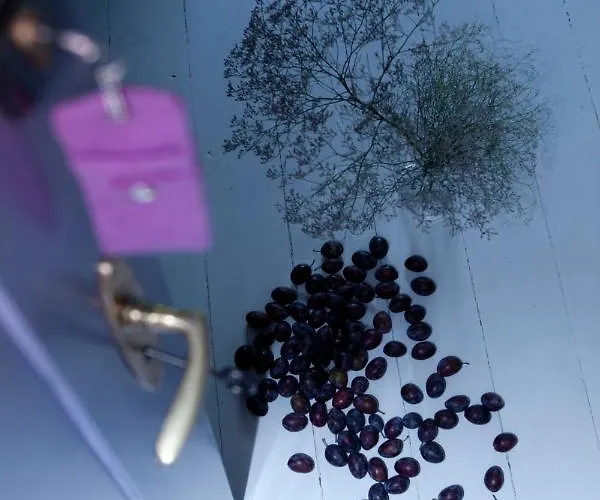 Republika Sloneczna 3*